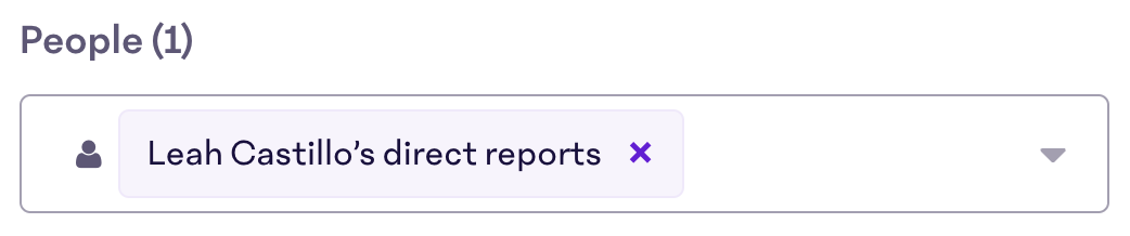 Direct-Reports-Filter.png