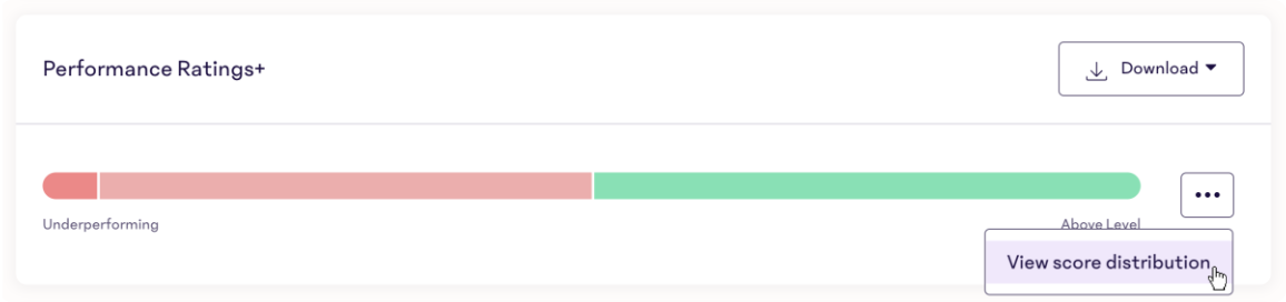 BSR-Results-Summary-PerformanceRatings%2B-Dropdown.png