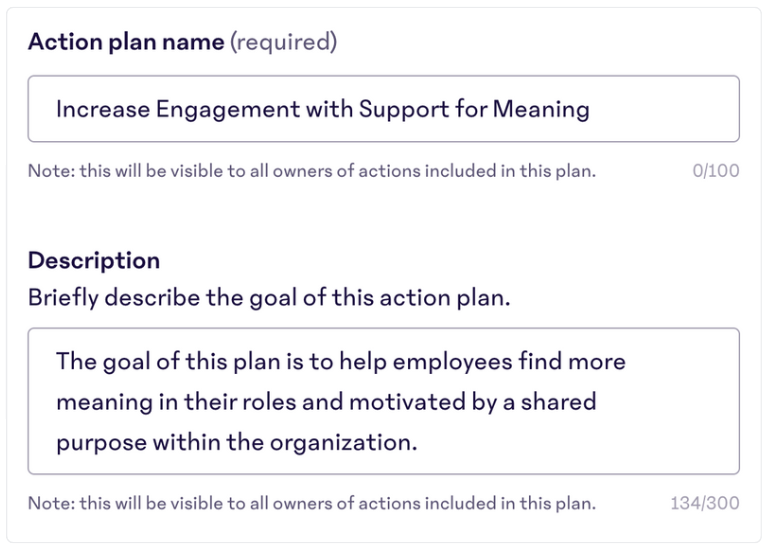 Engagement-Action-Plan-Name-Description.png