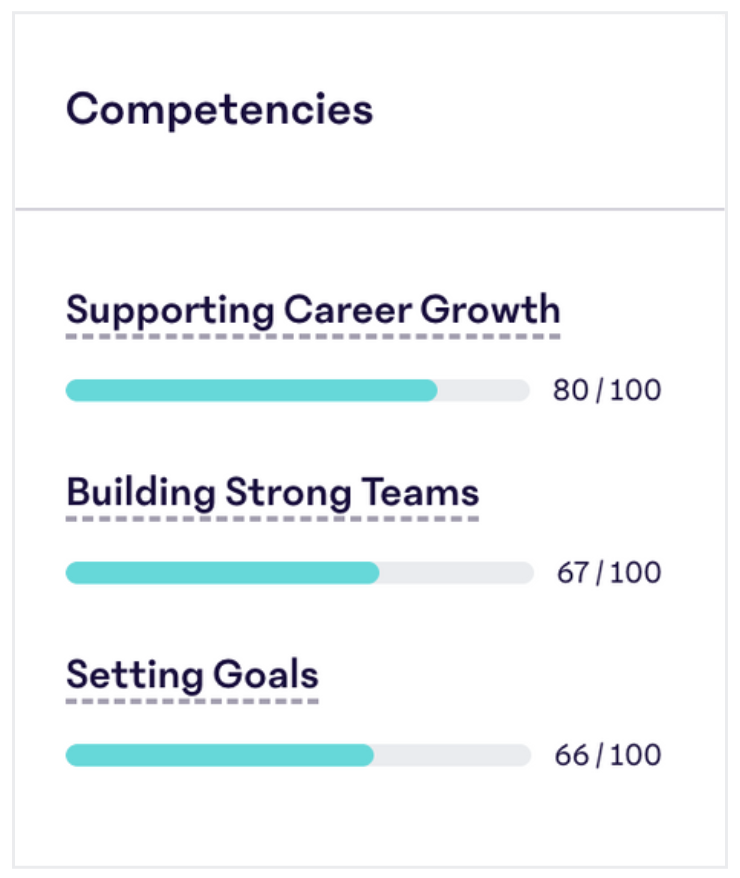 Competency-Highlights-MEI.png
