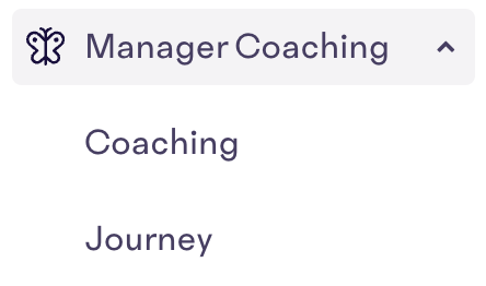 Coaching.png